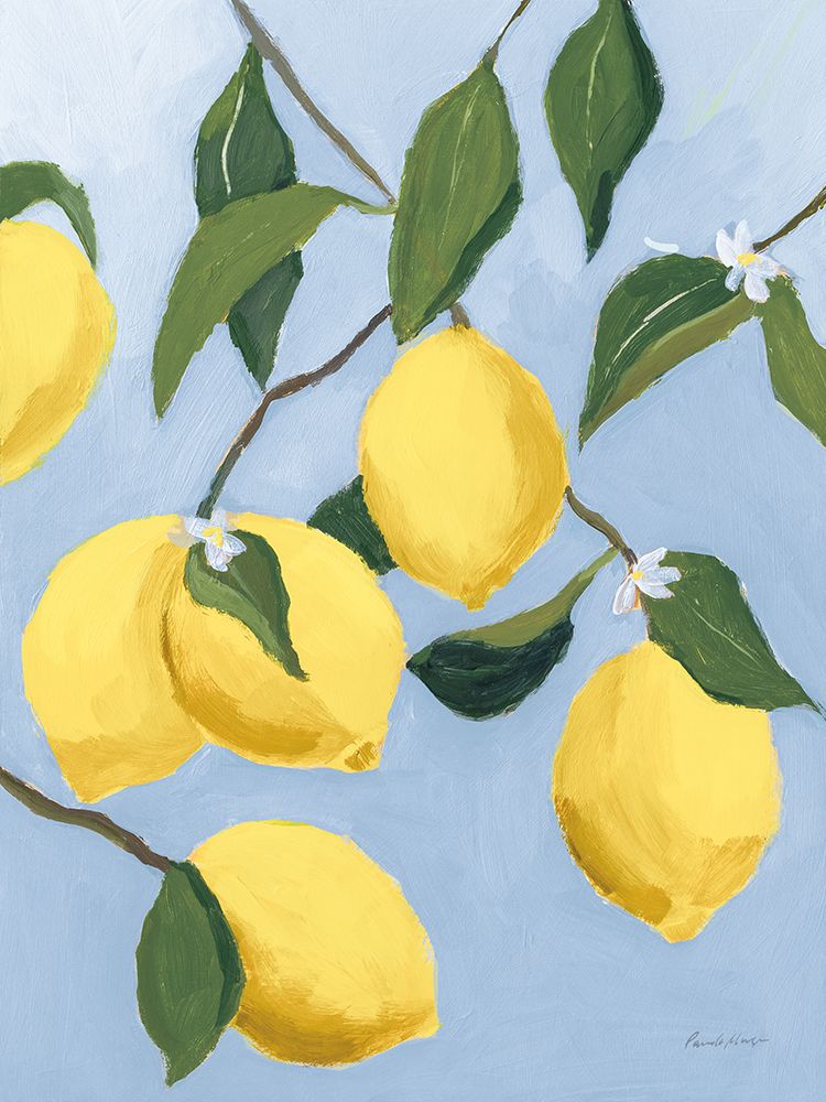 Lemon Tree Light art print by Pamela Munger for $57.95 CAD