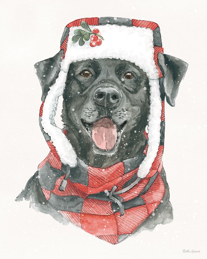 Winter Paws II art print by Beth Grove for $57.95 CAD