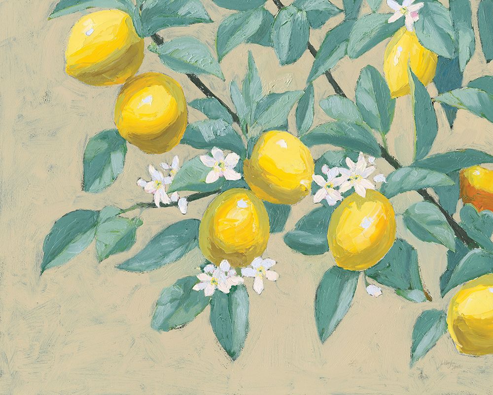 Lemon Branch art print by Wellington Studio for $57.95 CAD
