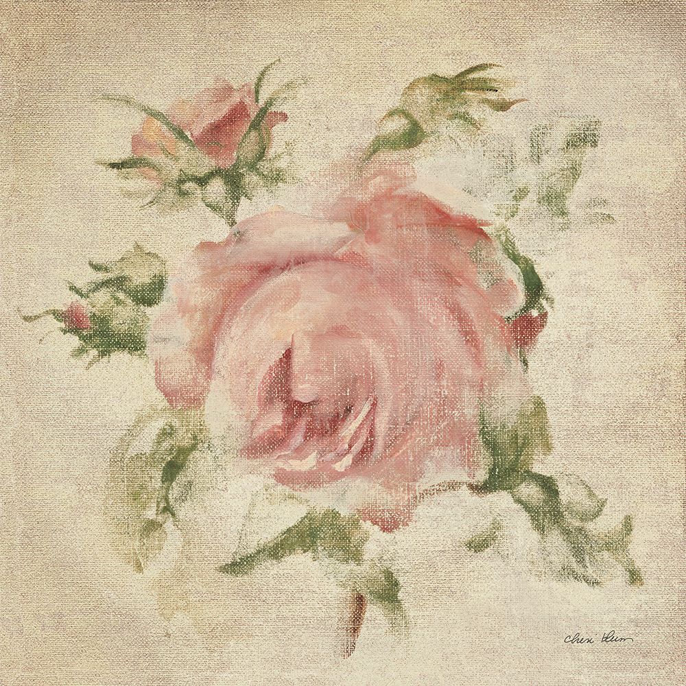 Pale Pink Rose on Antique Linen Light art print by Cheri Blum for $57.95 CAD