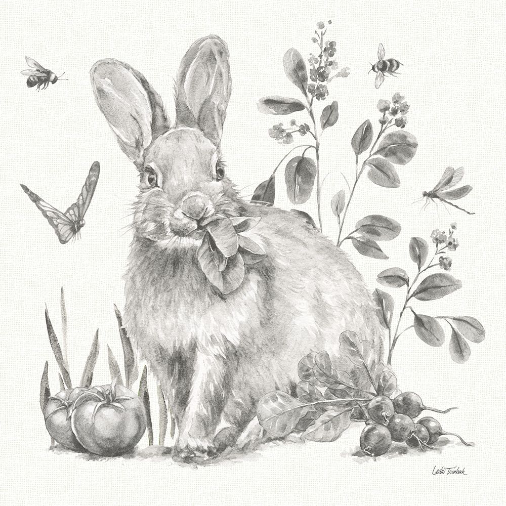 Garden Patch IV Sketch art print by Leslie Trimbach for $57.95 CAD
