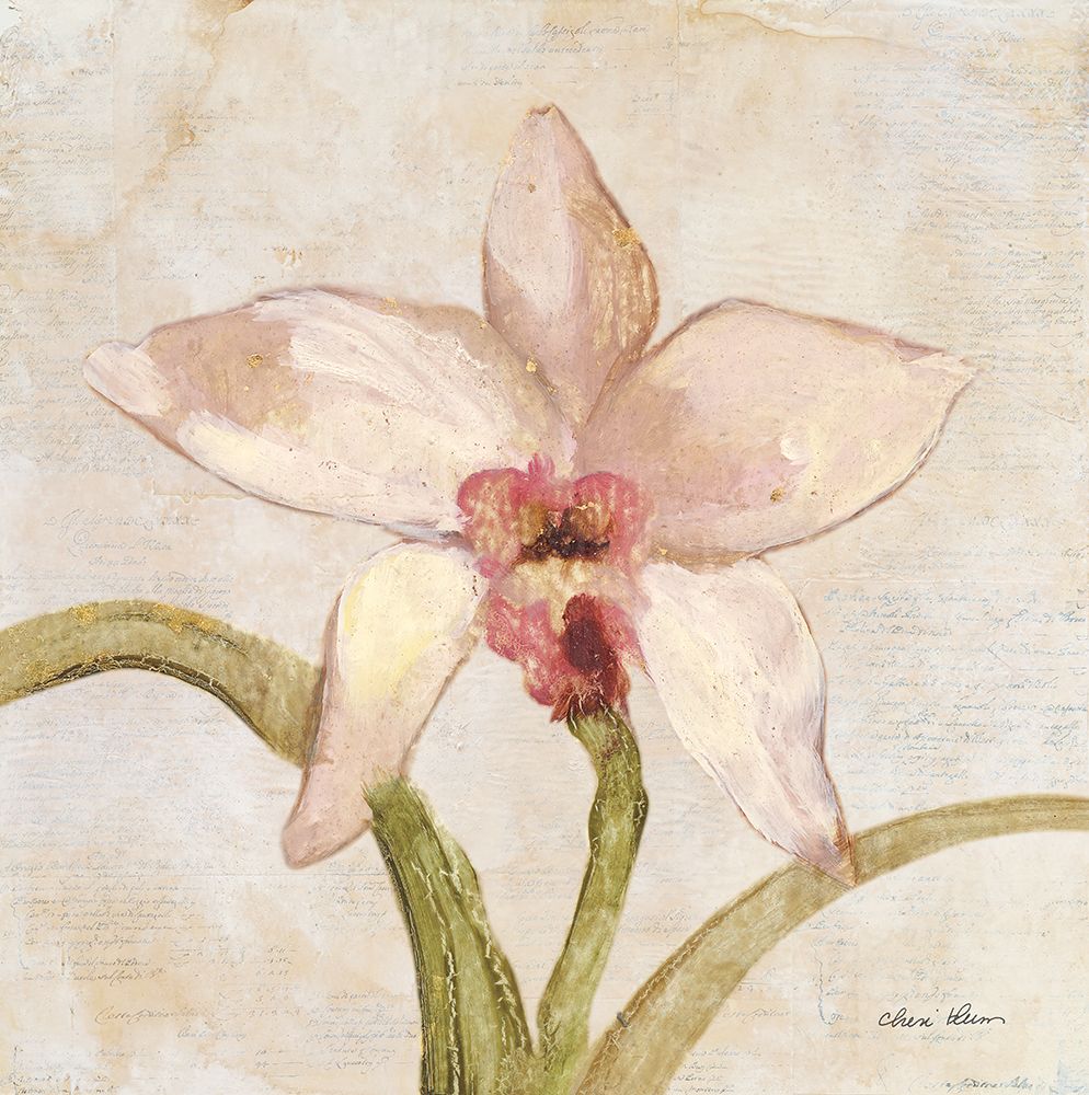 Orchid I art print by Cheri Blum for $57.95 CAD