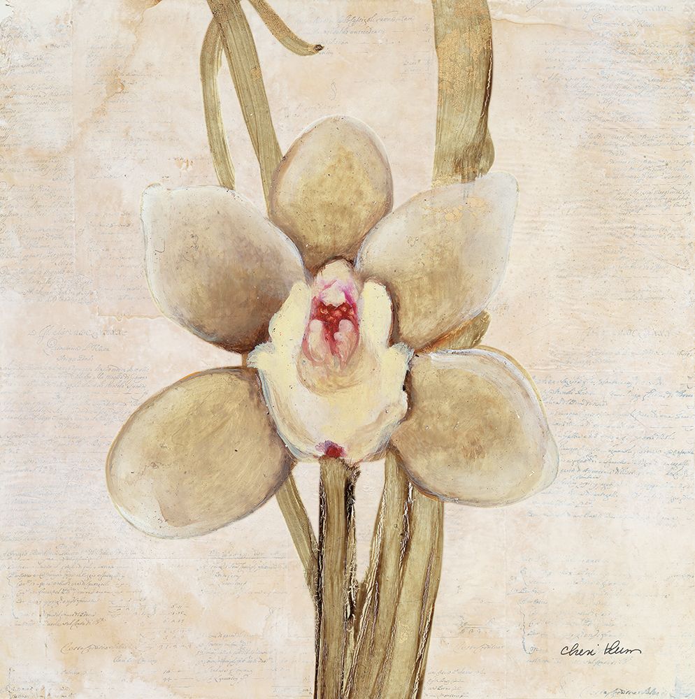 Orchid II art print by Cheri Blum for $57.95 CAD