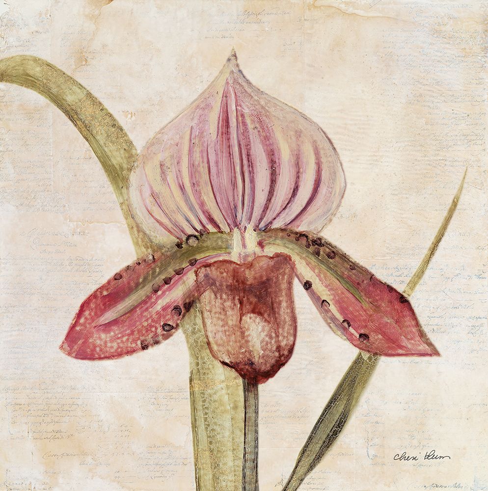 Orchid III art print by Cheri Blum for $57.95 CAD