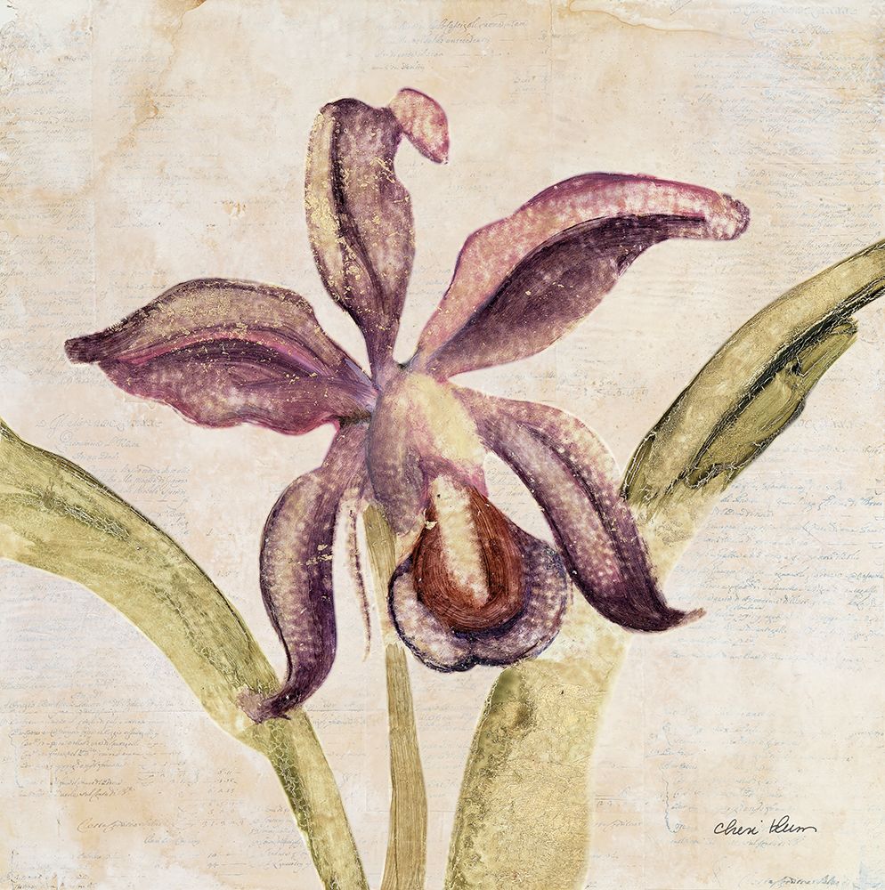 Orchid IV art print by Cheri Blum for $57.95 CAD