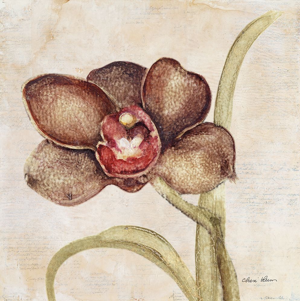 Orchid V art print by Cheri Blum for $57.95 CAD