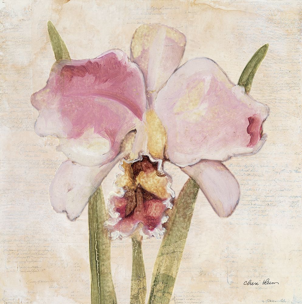 Orchid VI art print by Cheri Blum for $57.95 CAD