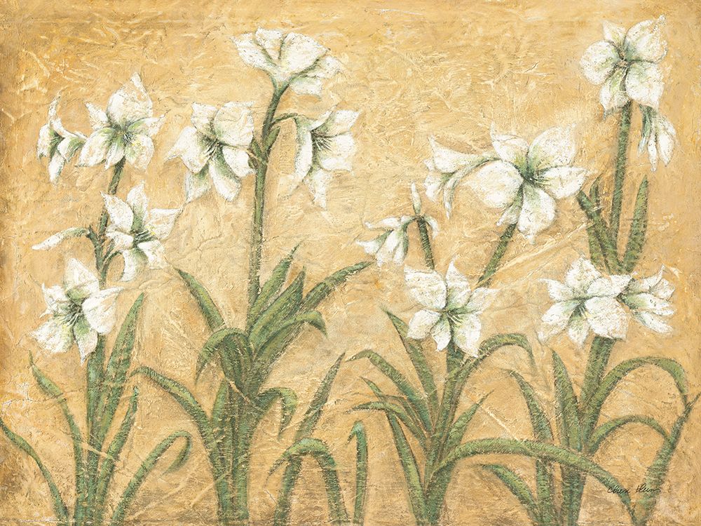White Amaryllis Garden art print by Cheri Blum for $57.95 CAD