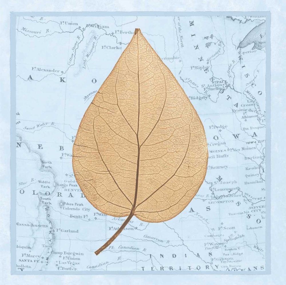 Natures Profile D art print by Cory Bannister for $57.95 CAD