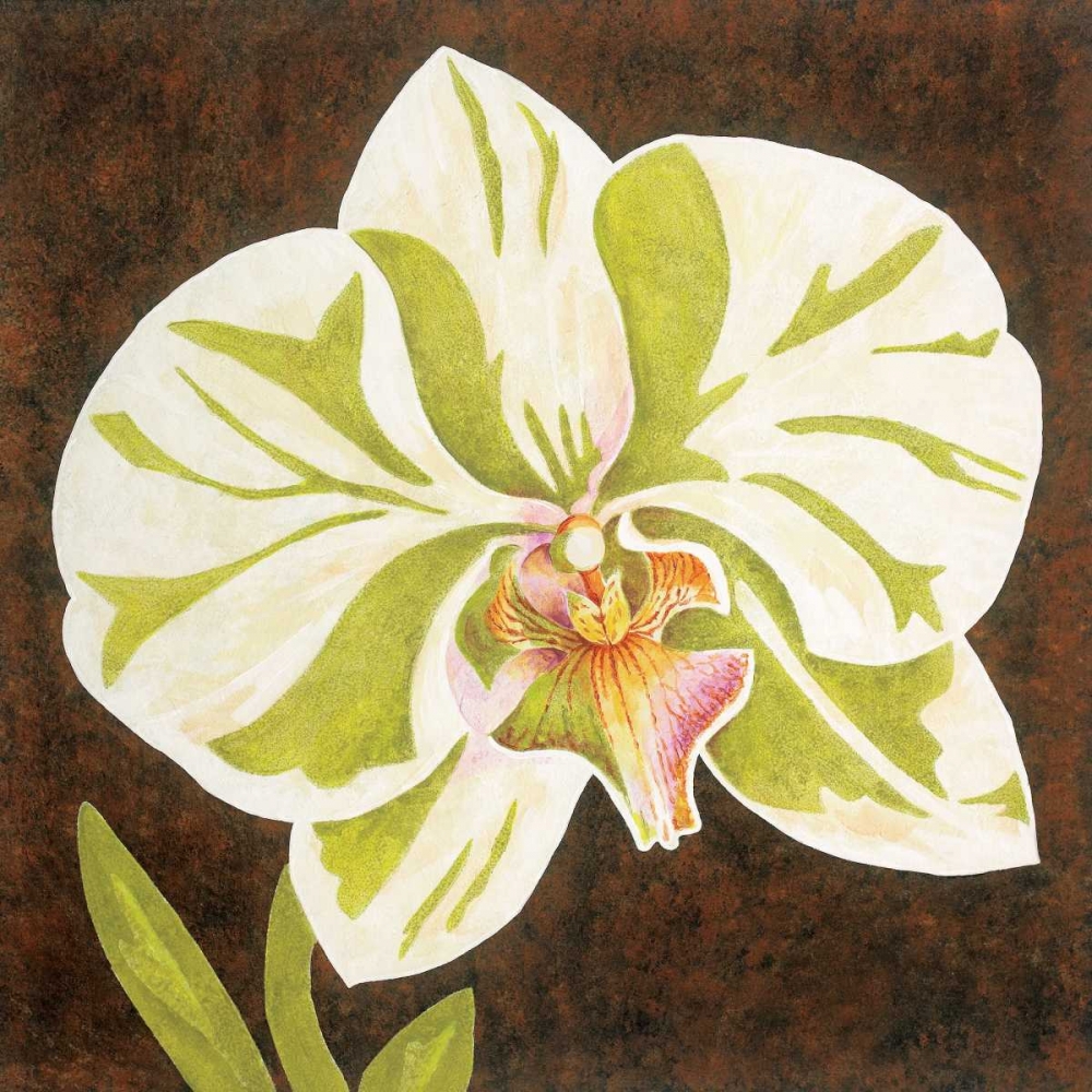 Surabaya Orchid Petites A art print by Judy Shelby for $57.95 CAD