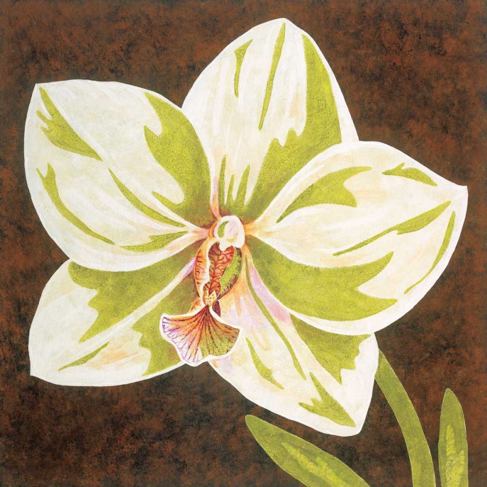 Surabaya Orchid Petites B art print by Judy Shelby for $57.95 CAD