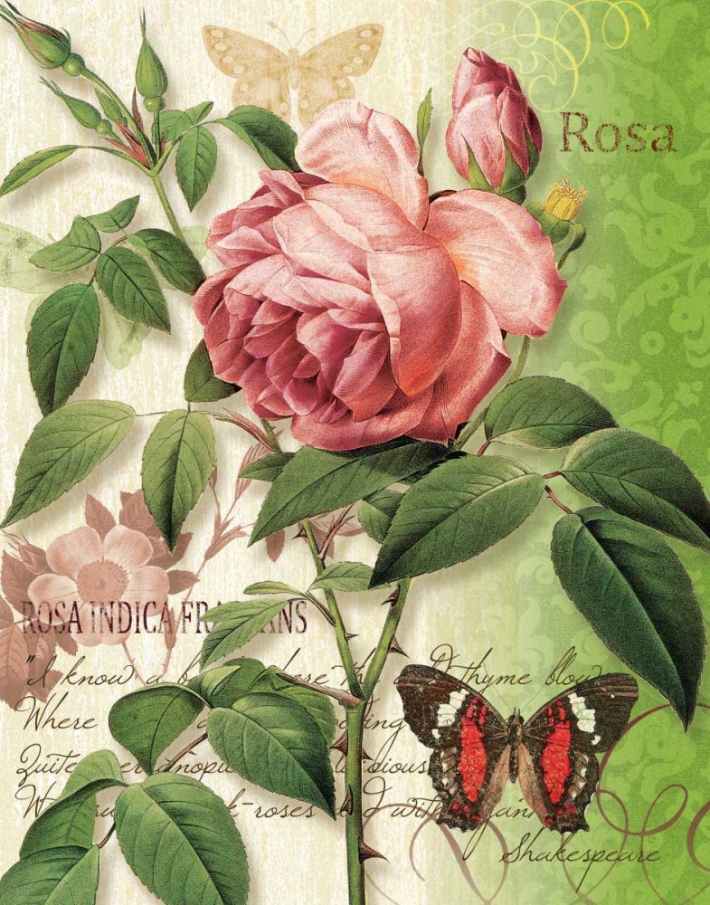 Rose Splendor II art print by Ching Han for $57.95 CAD