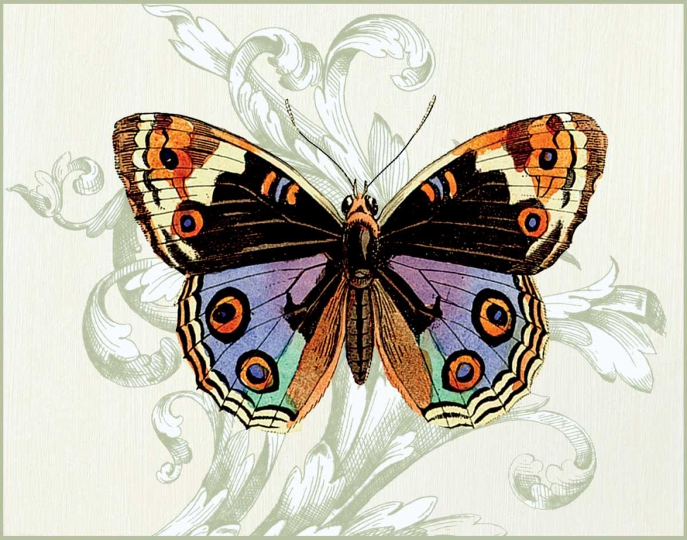 Butterfly Theme I art print by Susan Davies for $57.95 CAD