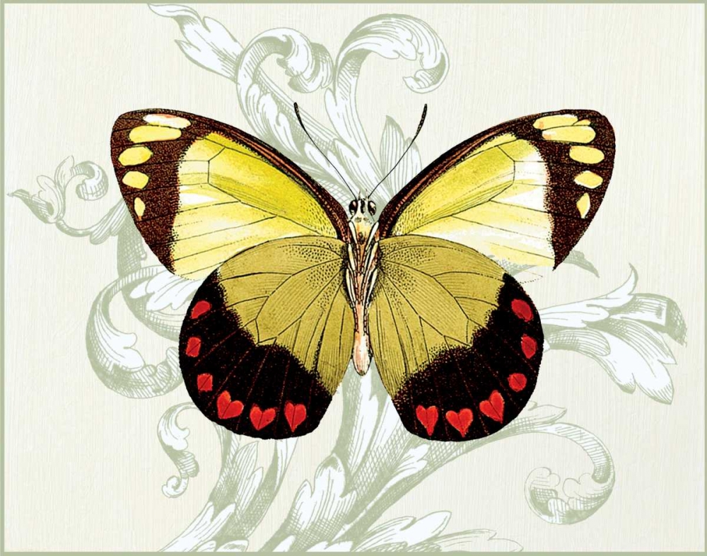 Butterfly Theme II art print by Susan Davies for $57.95 CAD