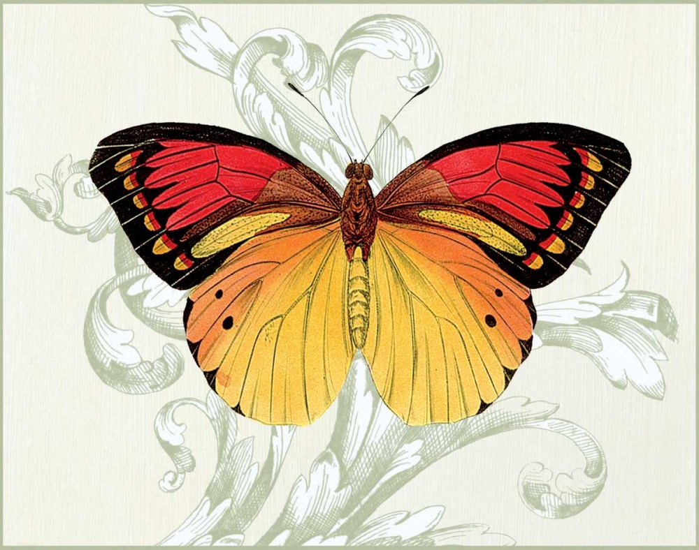Butterfly Theme III art print by Susan Davies for $57.95 CAD