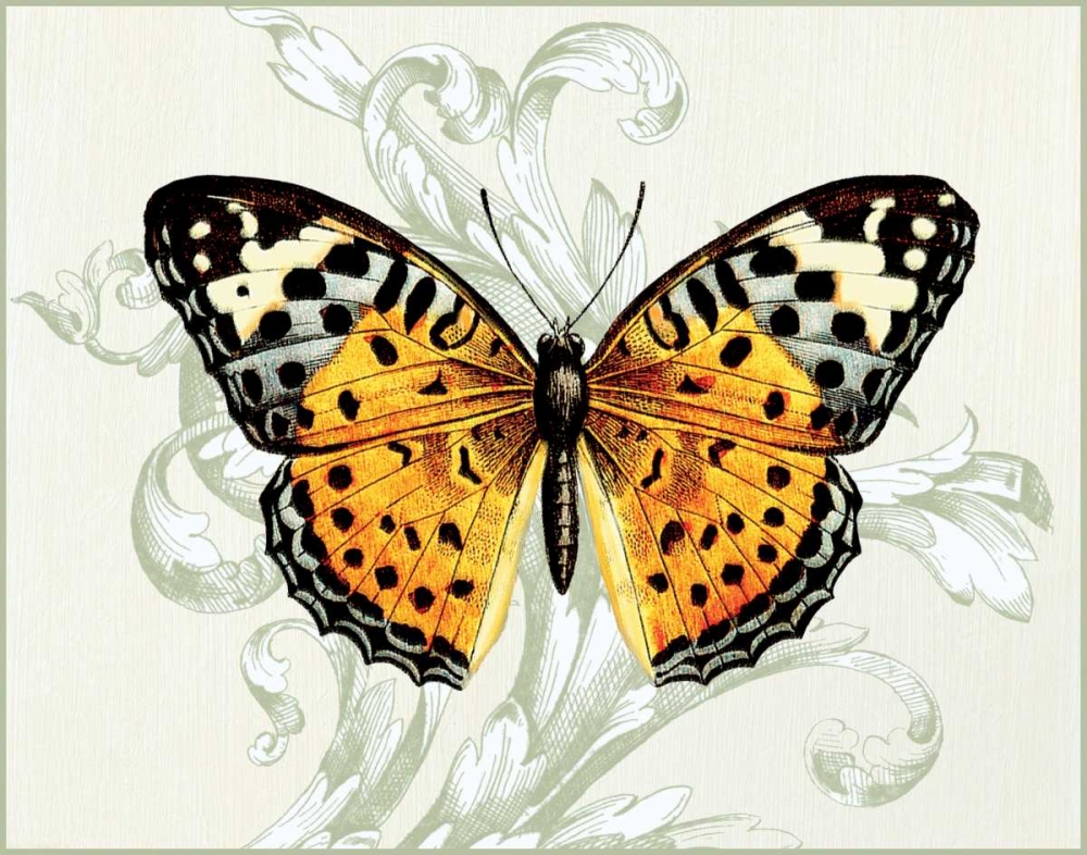 Butterfly Theme IV art print by Susan Davies for $57.95 CAD