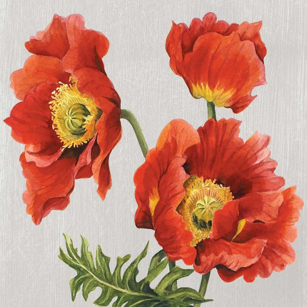 Poppies on Silk art print by Judy Shelby for $57.95 CAD