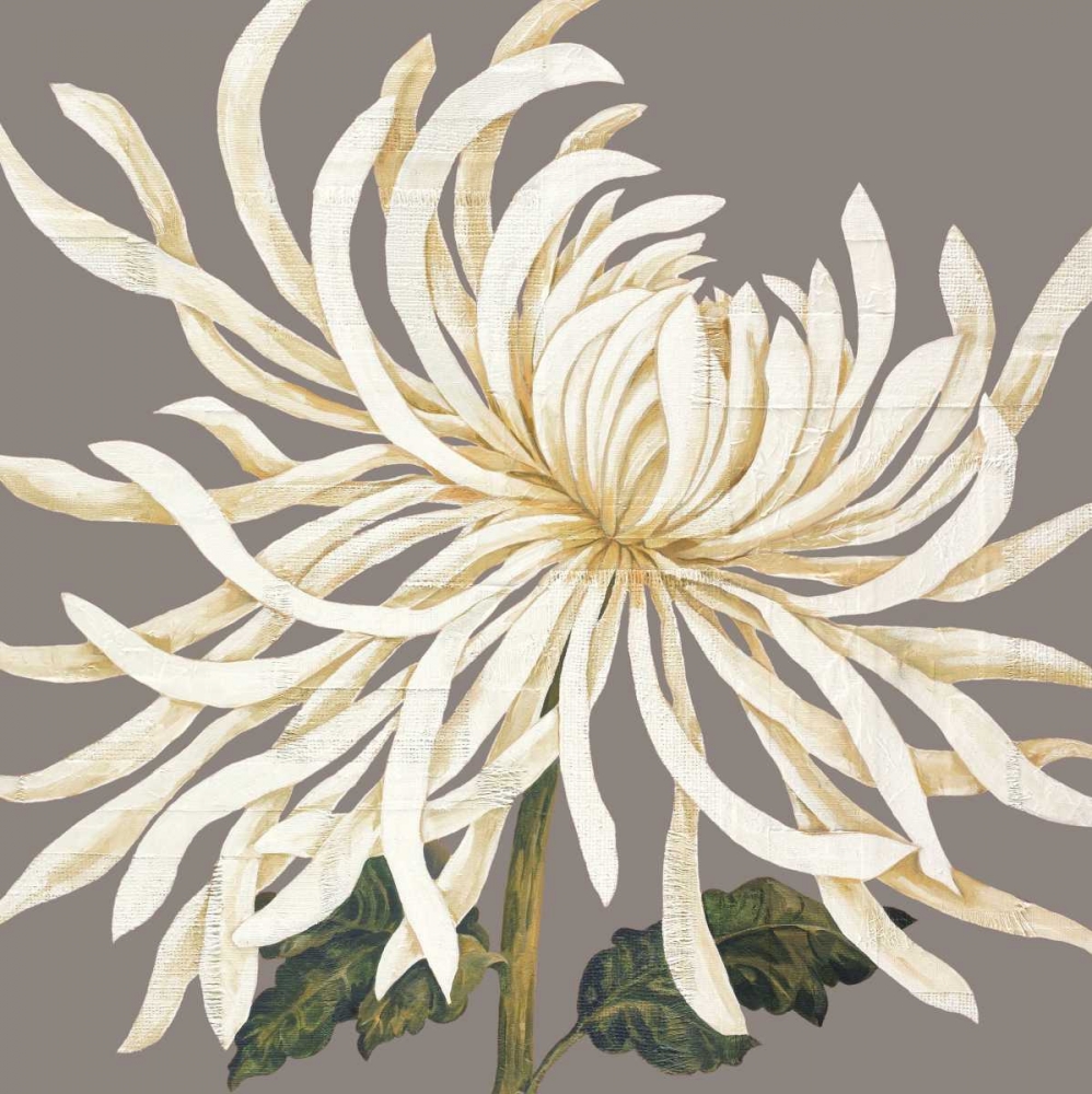 Glorious Whites I art print by Judy Shelby for $57.95 CAD