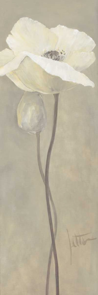 Poppy in white IV art print by Jettie Roseboom for $57.95 CAD
