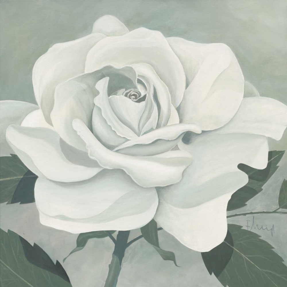 Rose One art print by Franz Heigl for $57.95 CAD