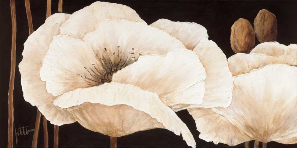 Amazing poppies III art print by Jettie Roseboom for $57.95 CAD