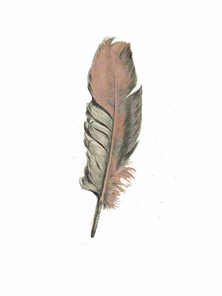 Feather II art print by Anne Waltz for $57.95 CAD