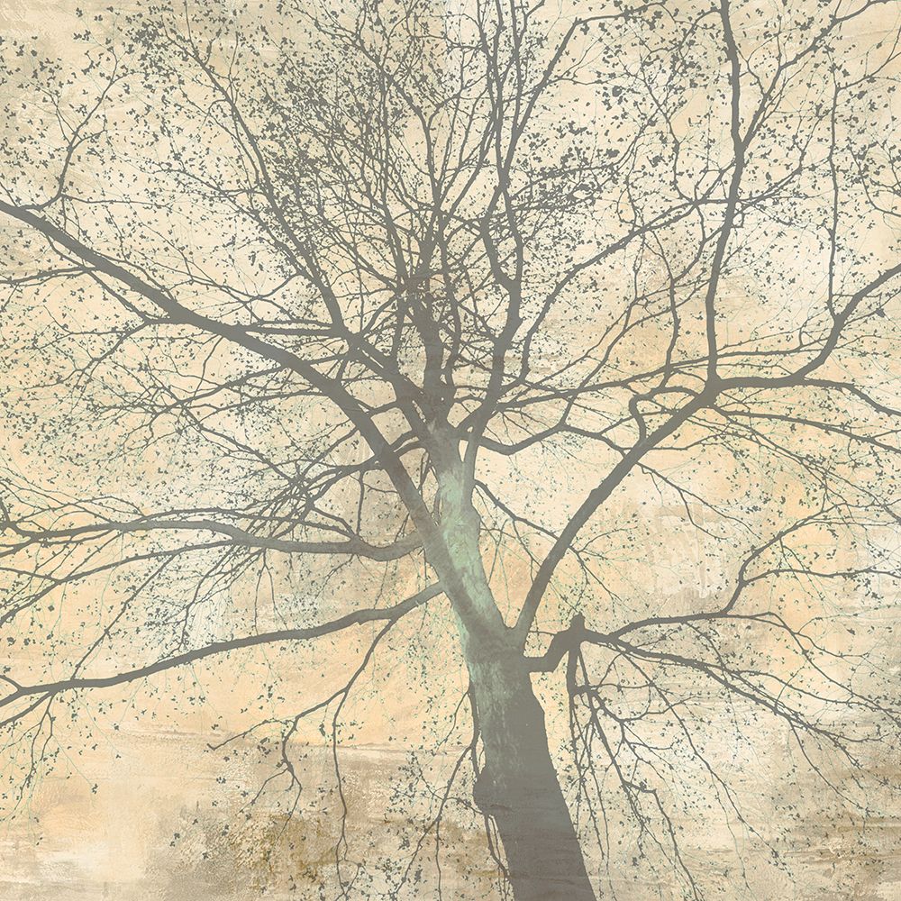 Below My Tree II (detail) art print by Alessio Aprile for $57.95 CAD