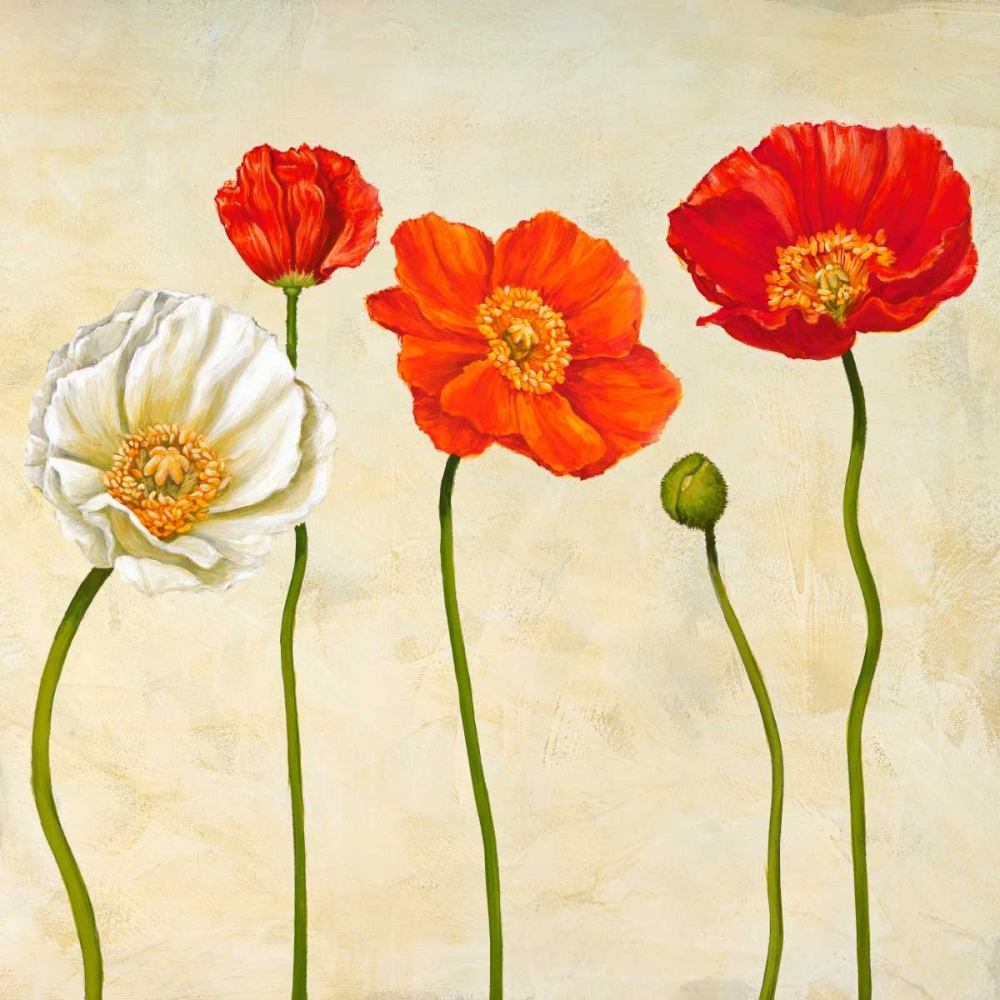 Coquelicots art print by Cynthia Ann for $57.95 CAD