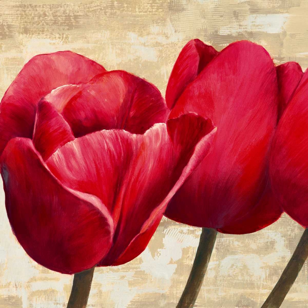Red Tulips art print by Cynthia Ann for $57.95 CAD
