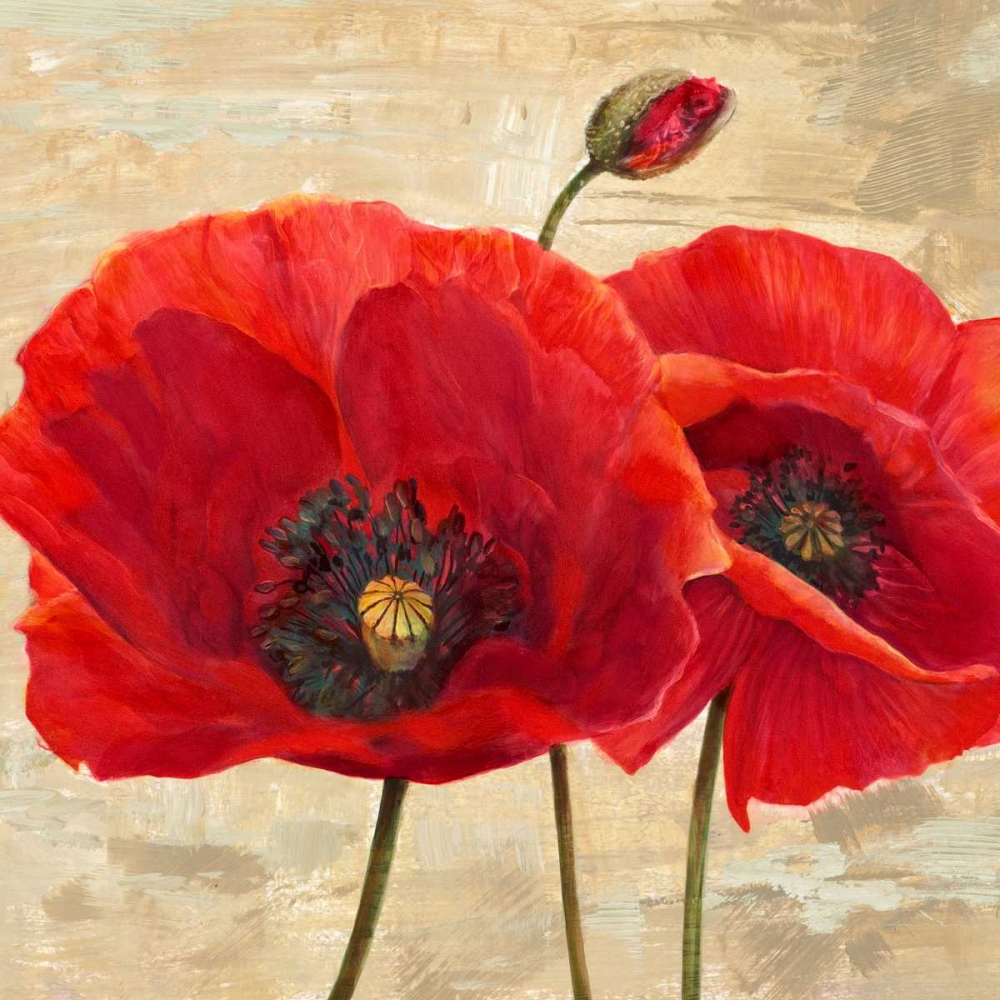 Red Poppies (detail II) art print by Cynthia Ann for $57.95 CAD