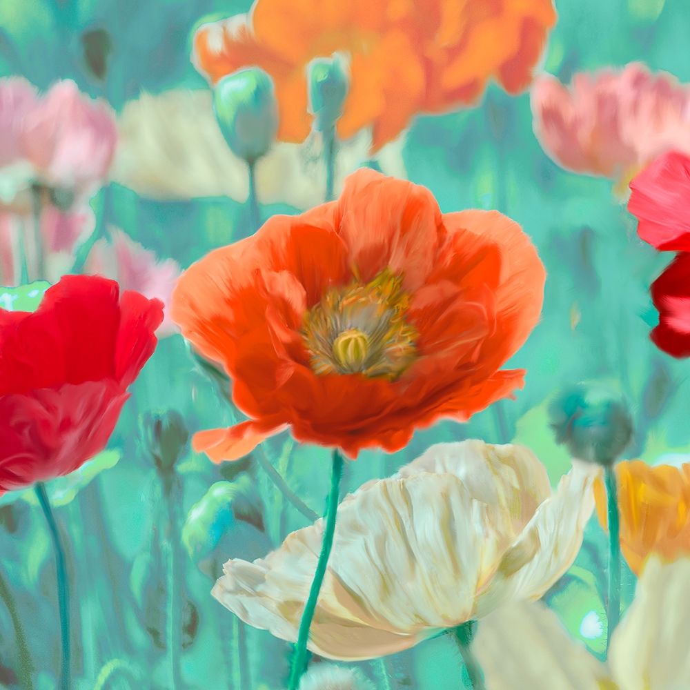 Poppies in Bloom I art print by Ann Cynthia for $57.95 CAD