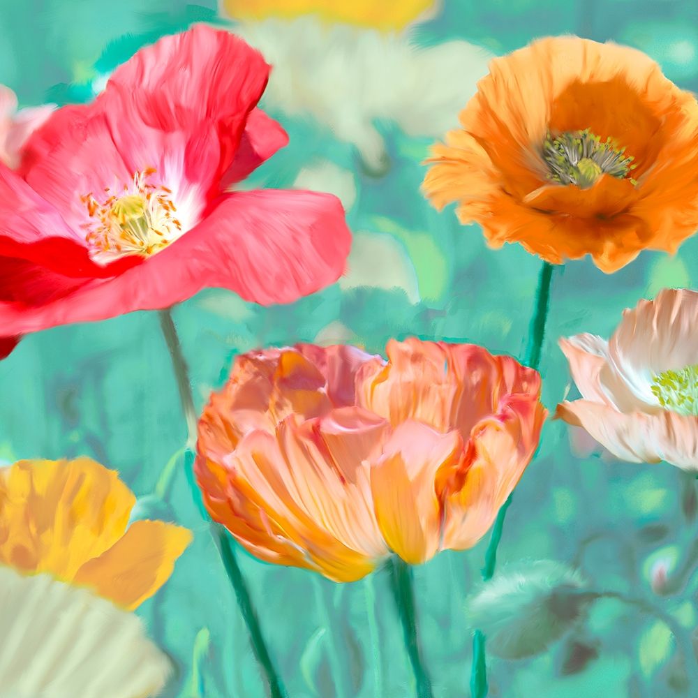 Poppies in Bloom II art print by Ann Cynthia for $57.95 CAD