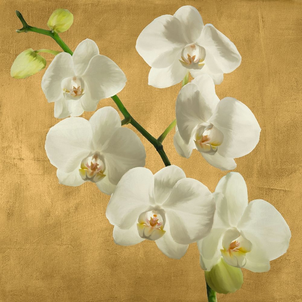 Orchids on a Golden Background I art print by Andrea Antinori for $57.95 CAD