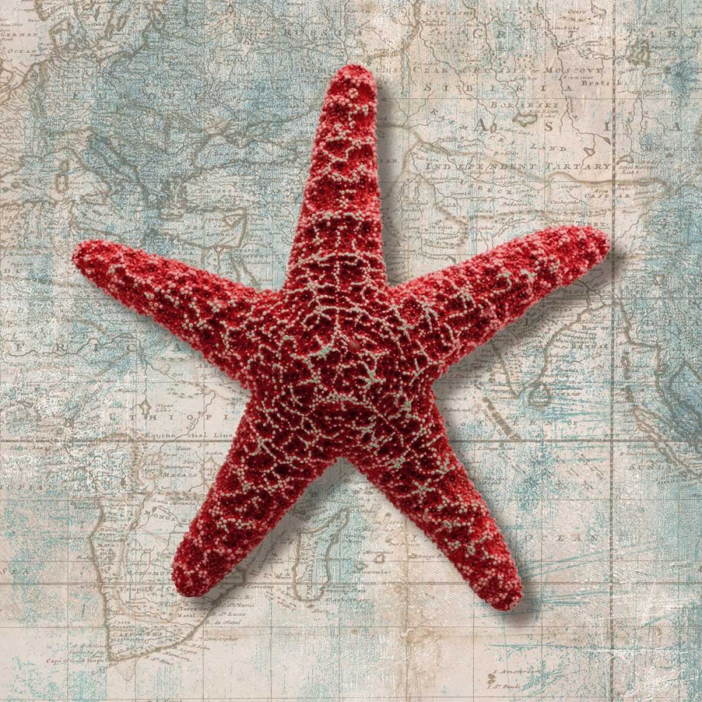 Starfish art print by Ted Broome for $57.95 CAD
