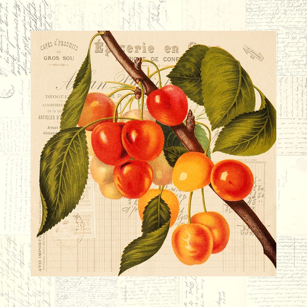 Cerises art print by Remy Dellal for $57.95 CAD