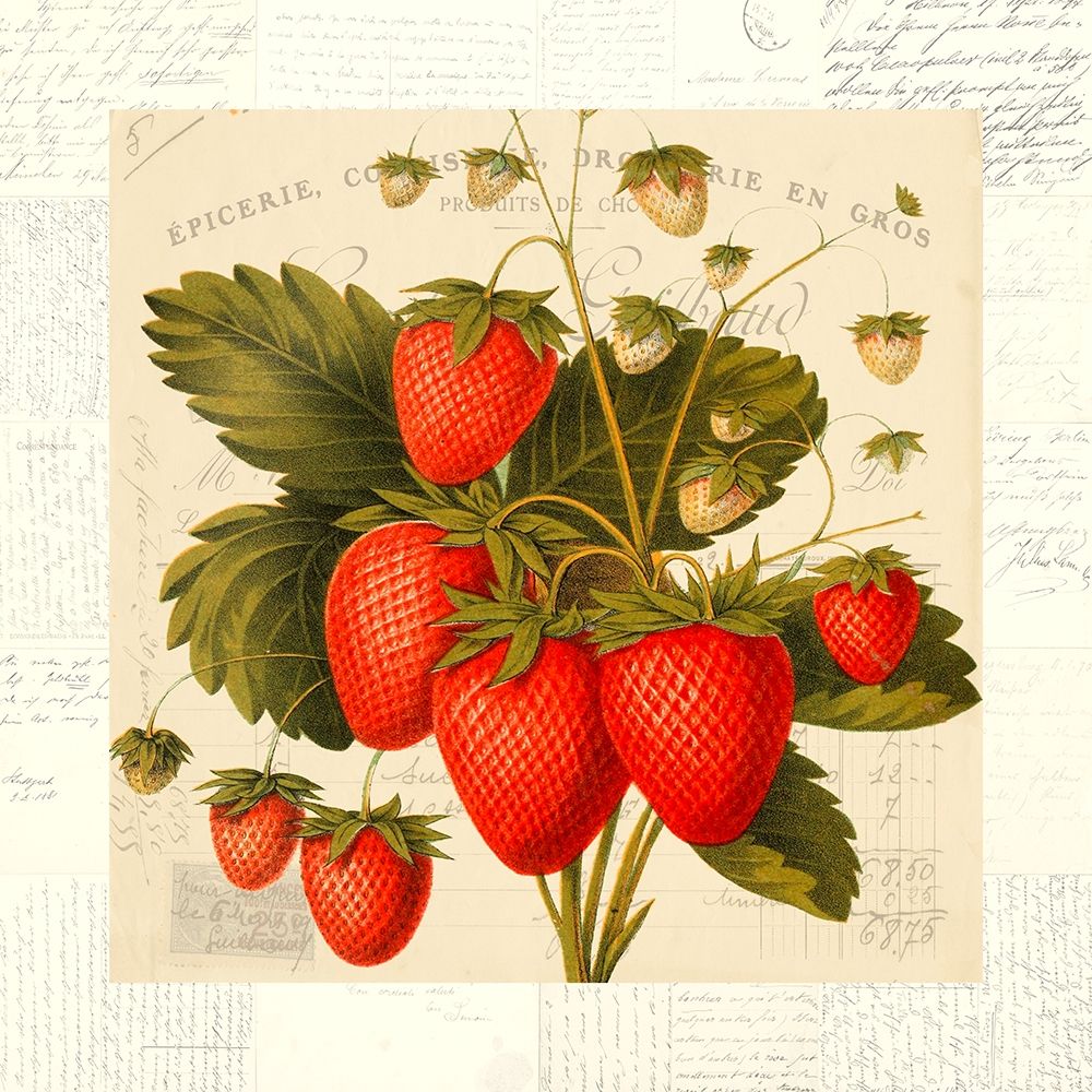 Fraises art print by Remy Dellal for $57.95 CAD