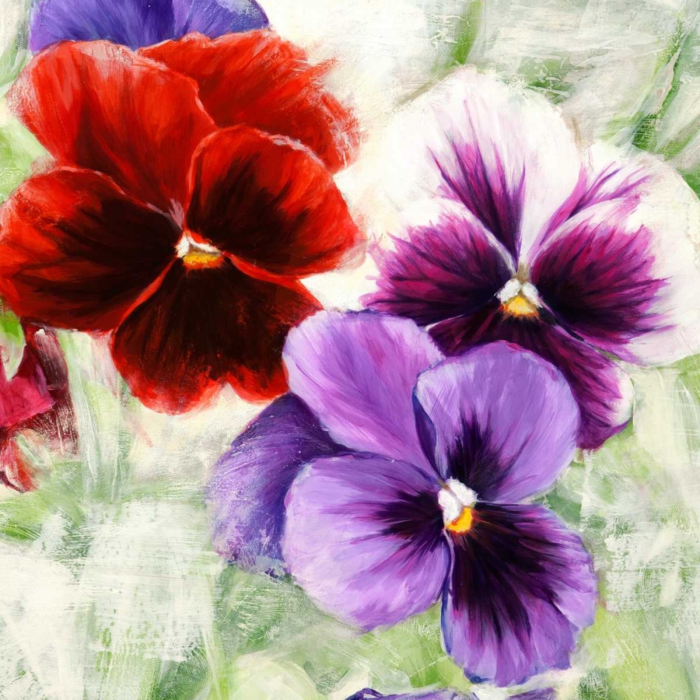 Pansies I art print by Jenny Thomlinson for $57.95 CAD