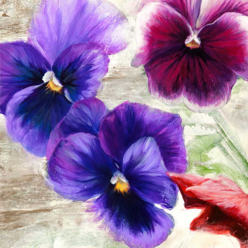 Pansies II art print by Jenny Thomlinson for $57.95 CAD