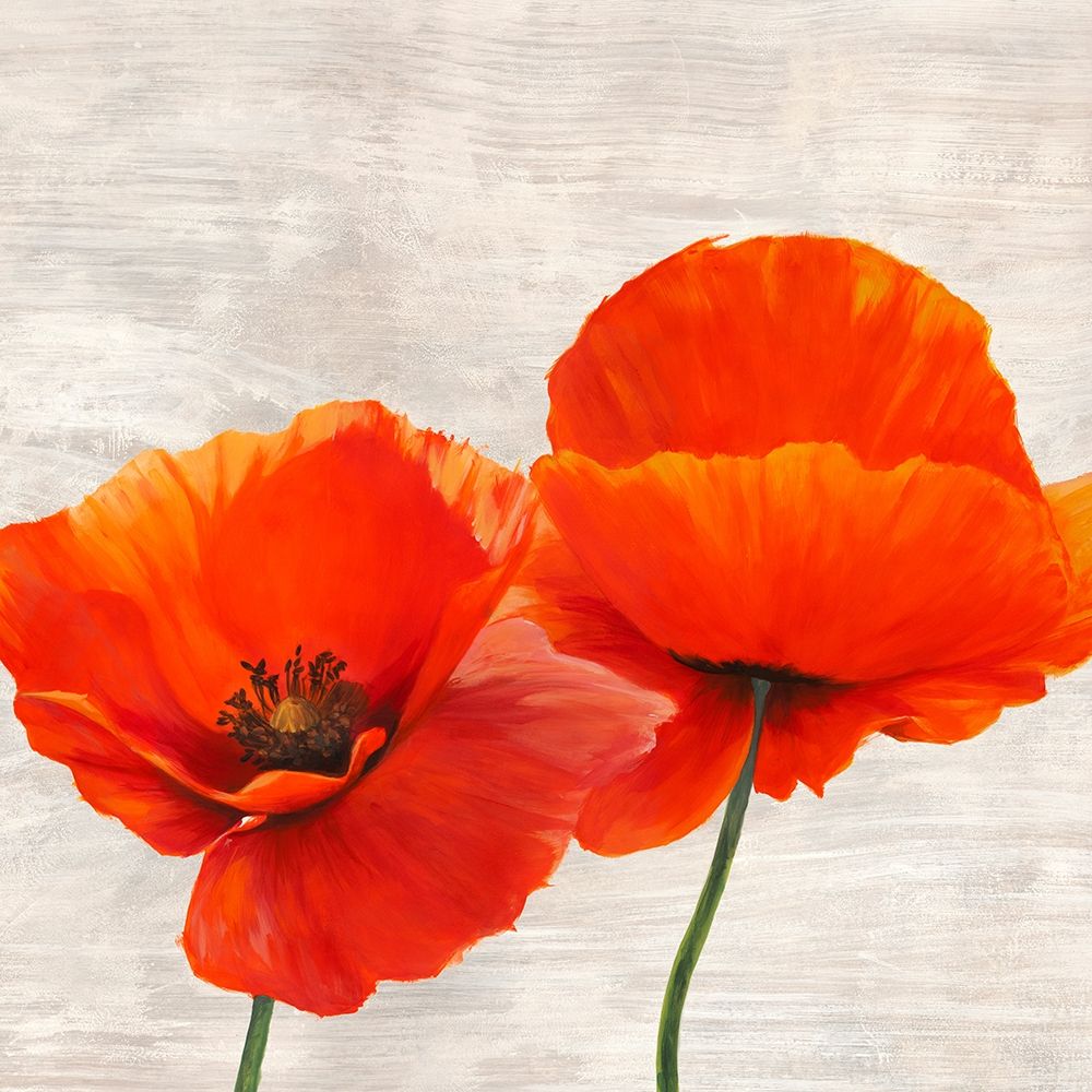 Bright Poppies II art print by Jenny Thomlinson for $57.95 CAD
