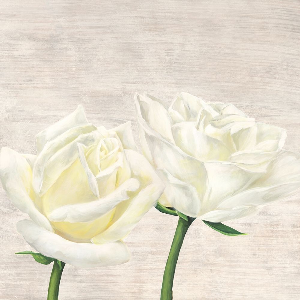 Classic Roses II art print by Jenny Thomlinson for $57.95 CAD