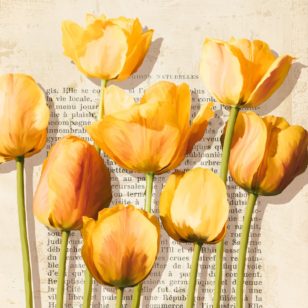 Histoires de Tulipes (detail) art print by Luca Villa for $57.95 CAD