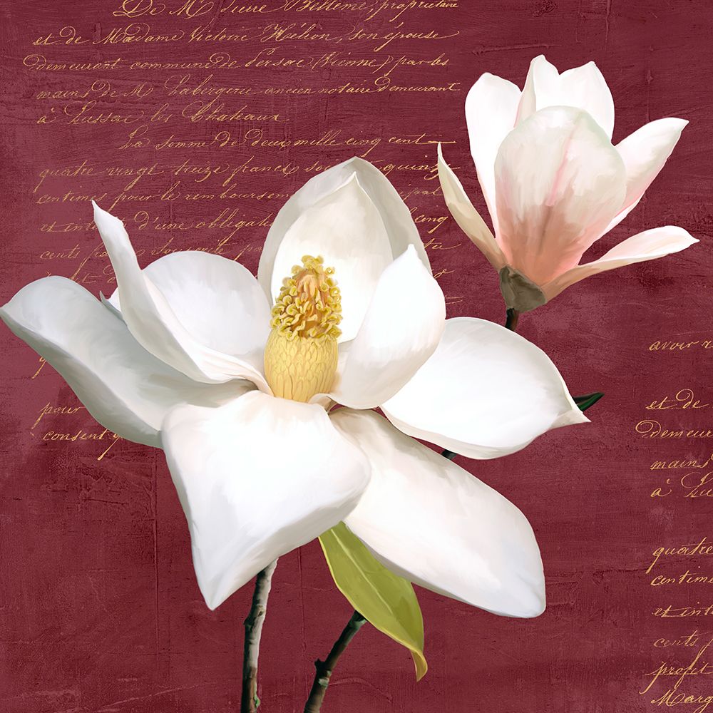 Burgundy Magnolia I art print by Luca Villa for $57.95 CAD