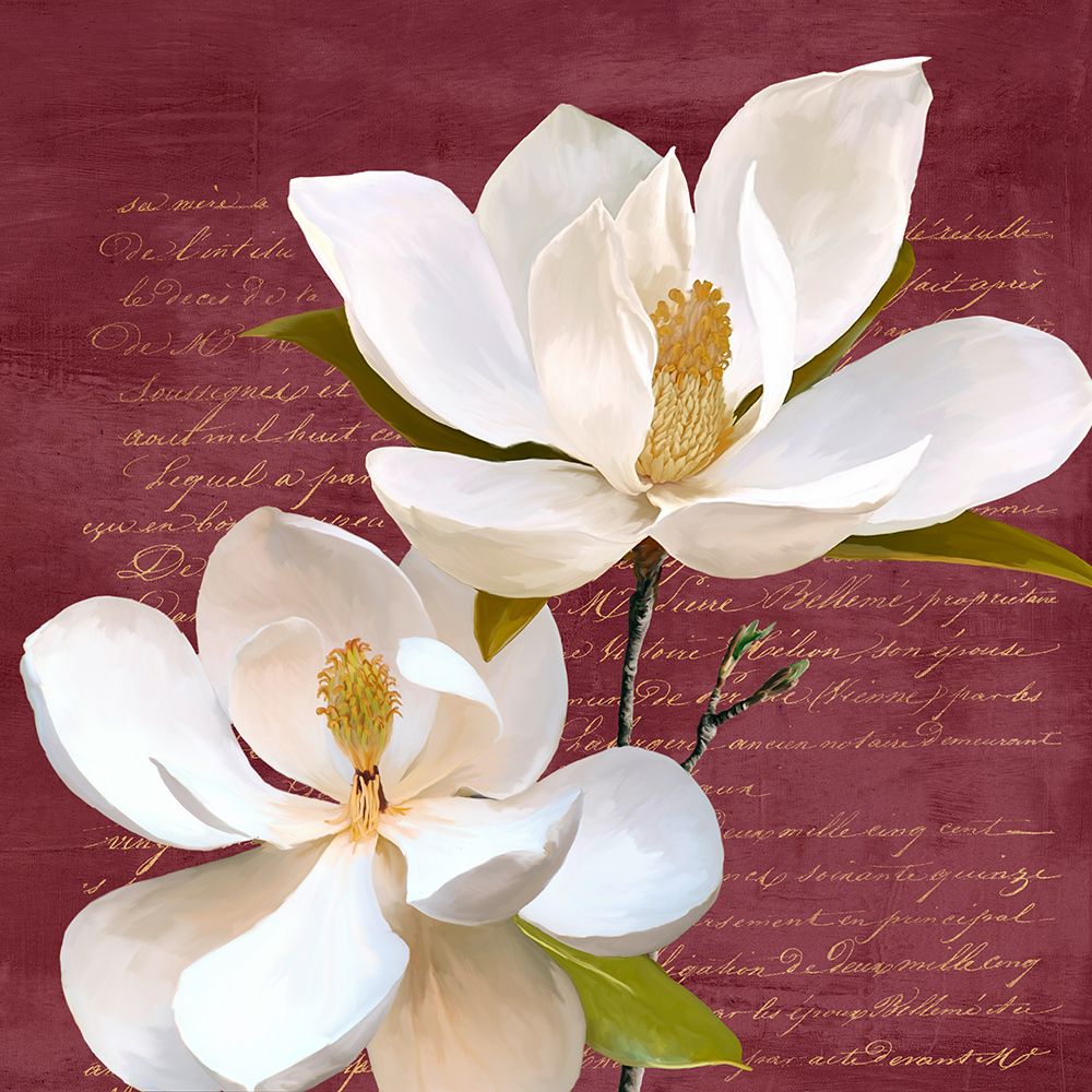 Burgundy Magnolia II art print by Luca Villa for $57.95 CAD