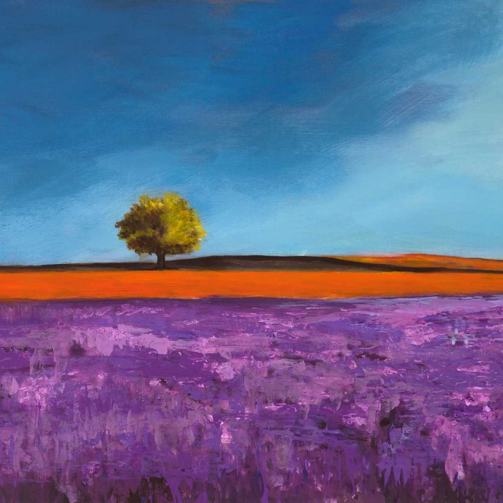 Field of Lavender art print by Philip Bloom for $57.95 CAD