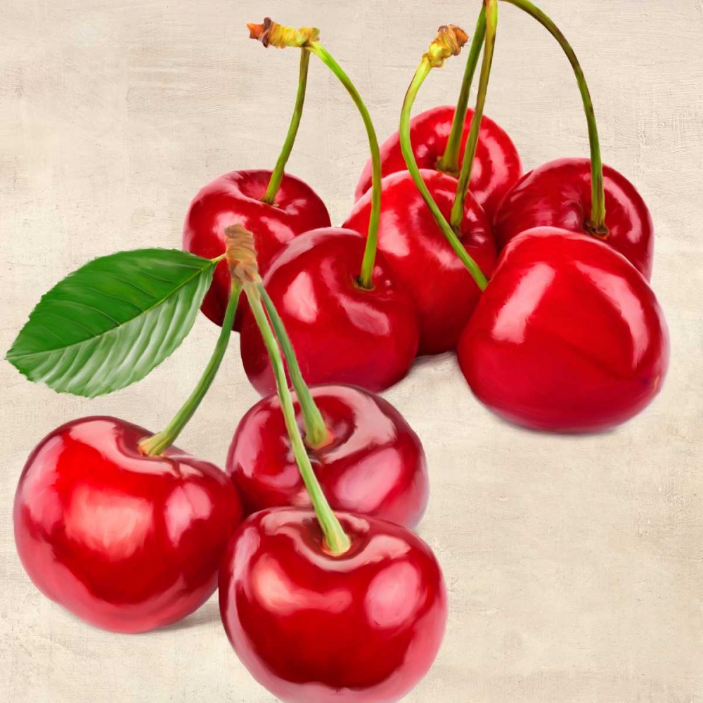 Cherries art print by Remo Barbieri for $57.95 CAD
