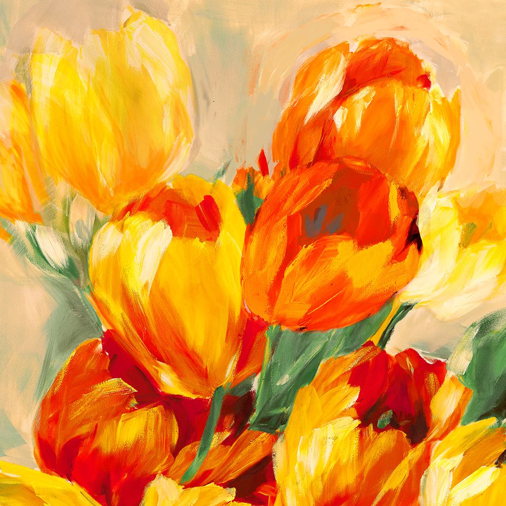 Tulips in the Sun I art print by Jim Stone for $57.95 CAD