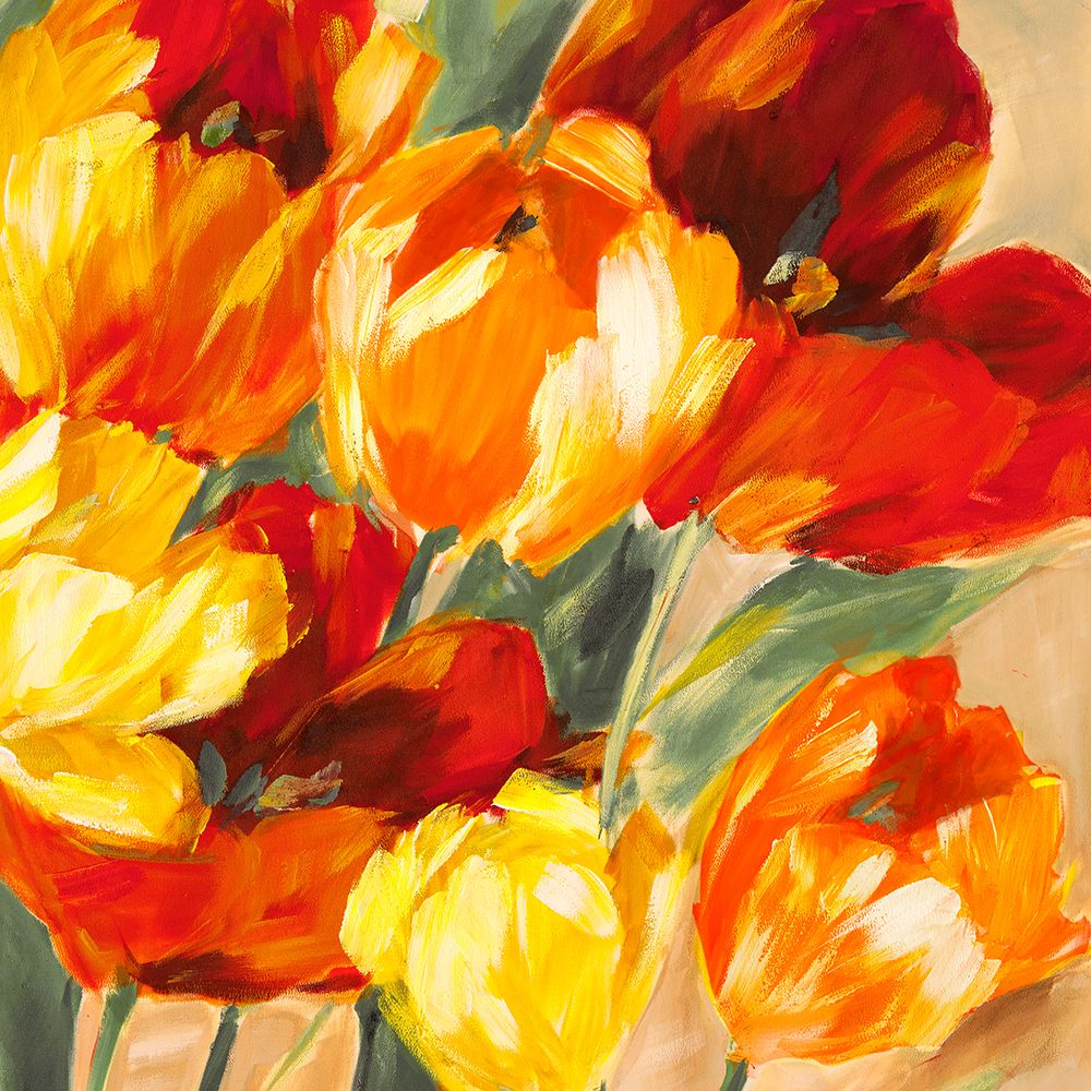 Tulips in the Sun II art print by Jim Stone for $57.95 CAD