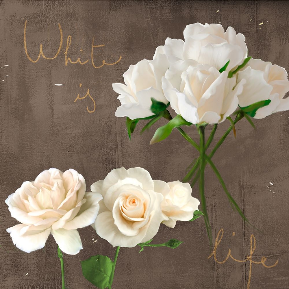 White Roses art print by Teo Rizzardi for $57.95 CAD