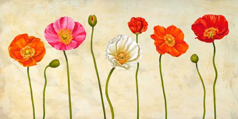 Coquelicots art print by Cynthia Ann for $57.95 CAD