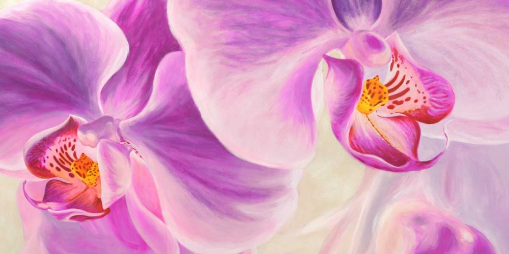 Purple Orchids art print by Cynthia Ann for $57.95 CAD